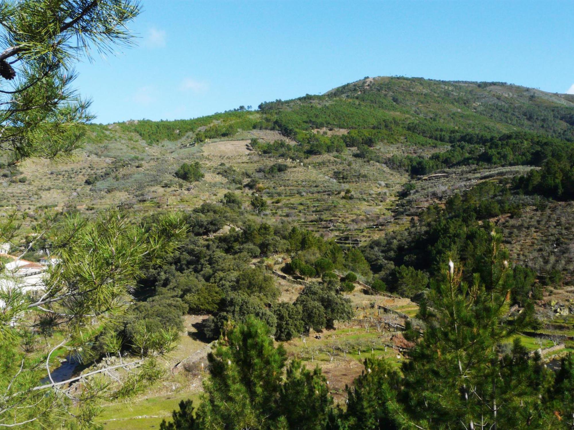 بينوفرانكويادو Apartamentos Rurales El Prado المظهر الخارجي الصورة